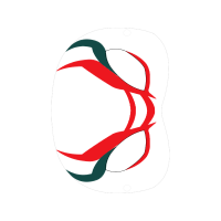 Illustration Wedding