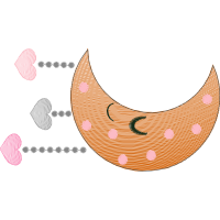 Illustration Wedding