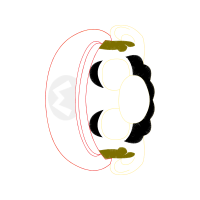 Illustration Wedding