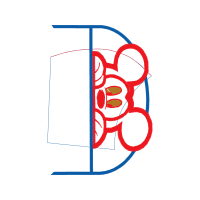 Illustration Wedding