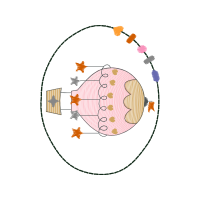 Illustration Wedding