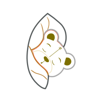 Illustration Wedding