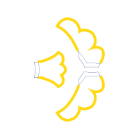 Illustration Wedding