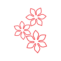 Illustration Wedding