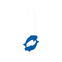 Illustration Wedding