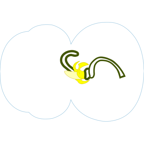 Illustration Wedding Illustration Wedding