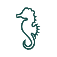 Illustration Wedding Illustration Wedding