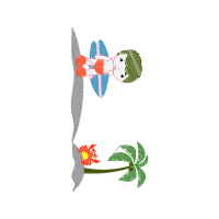 Illustration Wedding