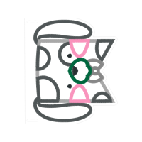 Illustration Wedding Illustration Wedding