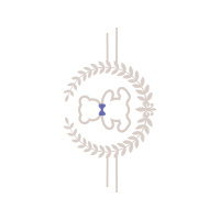 Illustration Wedding Illustration Wedding