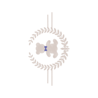 Illustration Wedding