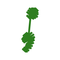 Illustration Wedding