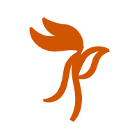 Illustration Wedding