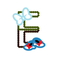 Illustration Wedding