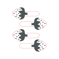 Illustration Wedding