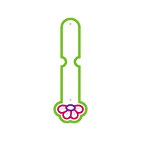 Illustration Wedding