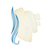 Illustration Wedding