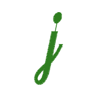 Illustration Wedding