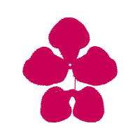 Illustration Wedding