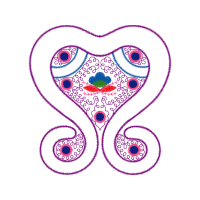 Illustration Wedding