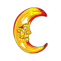 Illustration Wedding