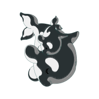 Illustration Wedding