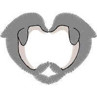 Illustration Wedding