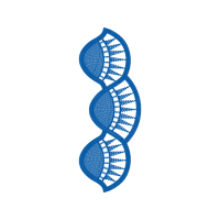 Illustration Wedding