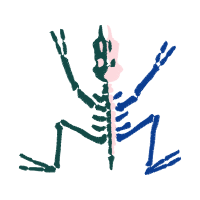 Illustration Wedding