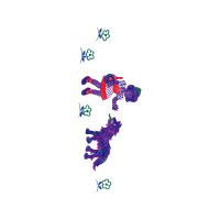 Illustration Wedding