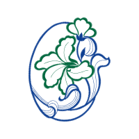 Illustration Wedding Illustration Wedding