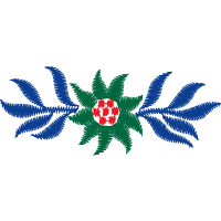 Illustration Wedding