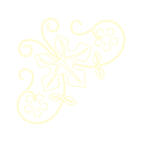 Illustration Wedding