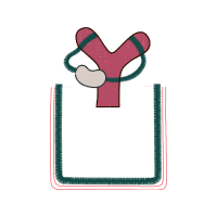 Illustration Wedding