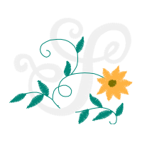 Illustration Wedding