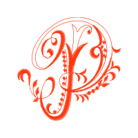 Illustration Wedding