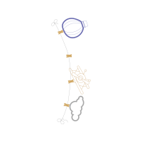 Illustration Wedding