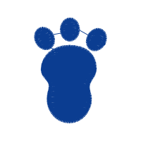 Illustration Wedding