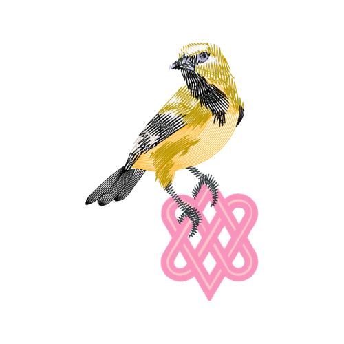 Illustration Wedding Illustration Wedding