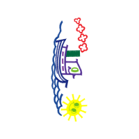 Illustration Wedding