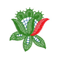 Illustration Wedding