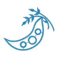 Illustration Wedding Illustration Wedding