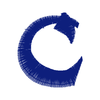 Illustration Wedding