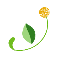 Illustration Wedding