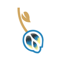 Illustration Wedding