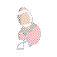 Illustration Wedding