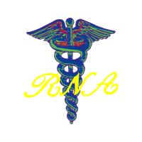 Illustration Wedding