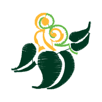 Illustration Wedding