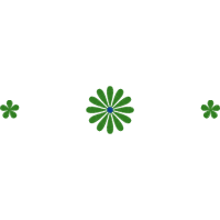 Illustration Wedding