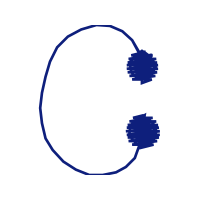 Illustration Wedding